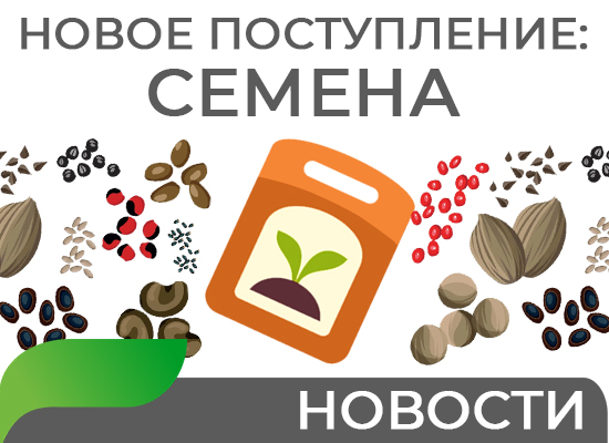 Новое поступление семян Новое поступление семян