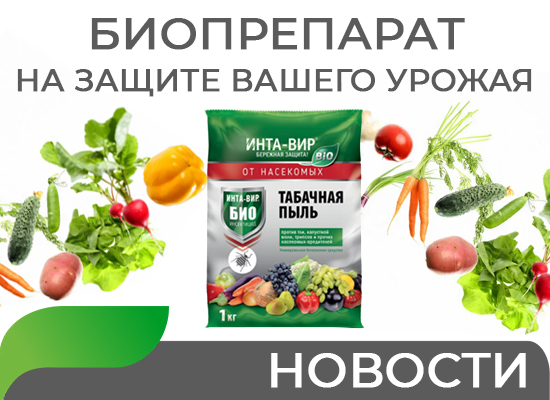 Биопрепарат на защите вашего урожая