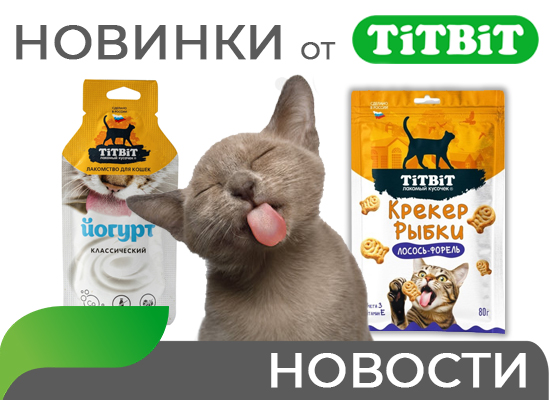 ЗОО новинки июня