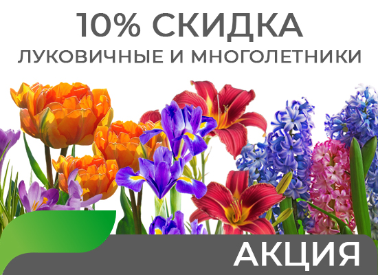 Скидка на Луковичные и Многолетники