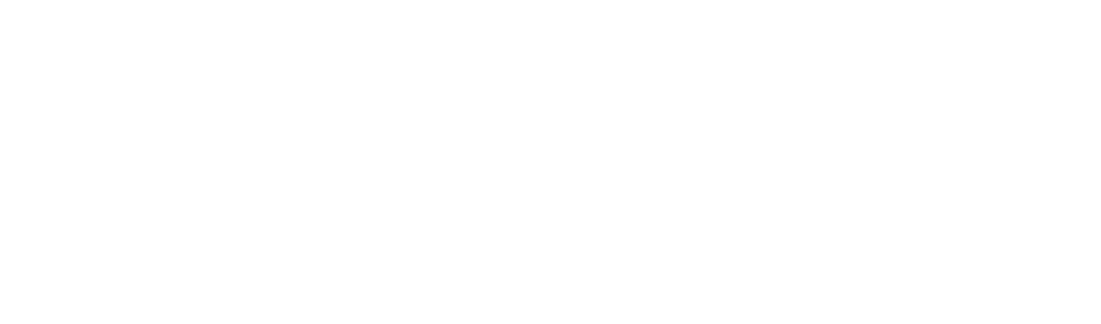 монохром белый с дескиптором.png