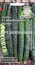 Огурец Изумрудный поток F1 0,2г Парт Ранн (Седек)