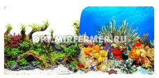 Фон д/аквариума двухстор. 50*100см Затопленные коряги/Коралловый риф (8033/8034)