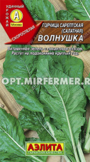 Горчица Волнушка салатная 0,5г Ранн (Аэлита)