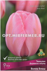 Тюльпан Дарвинов гибрид Белла Блаш 5шт ( розовый бутон, 11/12, h50см)