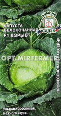 Капуста б/к Взрыв F1 0,1г Ранн (Седек)