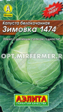Капуста б/к Июньская 0,5г Ранн (Аэлита) Лидер 20/1500