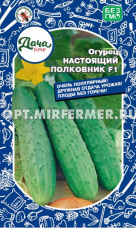 Огурец Настоящий полковник F1 10шт Парт Ср (Дача тайм)