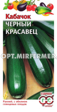 Кабачок Черный красавец 2г Зеленый Ранн (Гавриш)