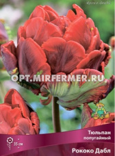 Тюльпан Попугайный Рококо Дабл 7шт ( ярко-красный, с зеленцой на лепестках, 11/12, h35)