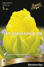 Тюльпан Махровый поздний Ванилла Куп (5шт, ярко-желтый, 11/12, H40см)