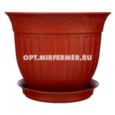 Виноград горшок с поддоном, 0,5л, d13, h11см, терракот