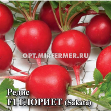 Редис Глориет F1 1000шт (Гавриш) Саката