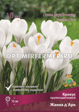 Крокус Крупноцветковый Жанна д'Арк 10шт ( белый, 7/8, h15см)