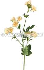 Искусственные цветы Камелиям h75см