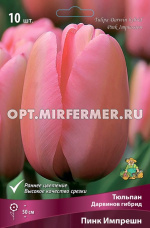 Тюльпан Дарвинов гибрид Пинк Импрешн 10шт ( цветок розовый, 11/12, h50см)