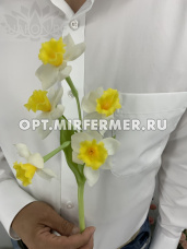 Искусственные цветы Нарцисс из силикона  h 37см