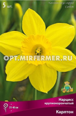 Нарцисс Крупнокорончатый Карлтон 5шт (лимонно-желтые, 12/14, h40см)