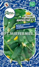Огурец Директор F1 6шт Парт Ср (Дачаtime)