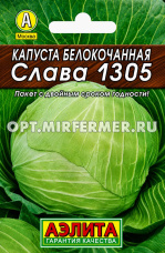 Капуста б/к Слава 1305 0.5г Ср (Аэлита) Лидер 20/1500