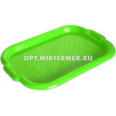 Поднос пластик 484*322*10мм микс 1/10 Рад