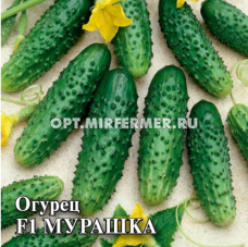 Огурец Мурашка F1 корнишон 100шт (Гавриш)