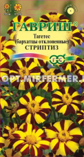 Бархатцы откл. Стриптиз 0,3г 40см (Гавриш)