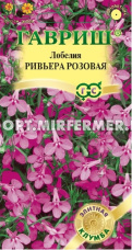 Лобелия Ривьера Розовая 4шт Одн 13см (Гавриш) Элитная клумба