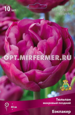 Тюльпан Махровый поздний Бэкпакер 10шт ( ярко-сиреневый, 11/12, h40см)
