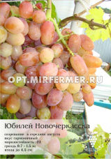 Виноград плодовый Юбилей Новочеркасска 0,8л