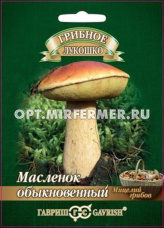 Мицелий Масленок на зерновом субстрате 15 мл (Гавриш)