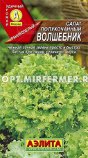 Салат Волшебник полукочанный 0,5г Ранн (Аэлита)