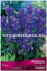 Дельфиниум белладонна Атлантис 1шт (120см, цветки фиолетово-синие, I)