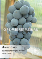 Виноград плодовый Леон Мийо 0,8л (Для сока и вина)