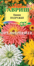 Цинния Подружки кактусовидная 0,2г Одн смесь 35см (Гавриш)
