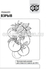 Томат Взрыв 0,05г Дет Ранн (Гавриш) б/п