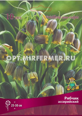Рябчик (Фритиллярия) Ассирийский 10шт (снаружи темно-коричневый, внутри – оливковый, 6+, h35см)