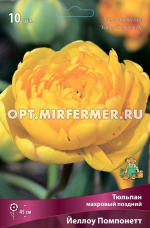 Тюльпан Махровый поздний Йеллоу Помпонетт 10шт ( насыщенно-желтый, 11/12, h45см)