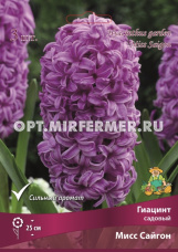 Гиацинт Мисс Сайгон садовый 3шт (цветки сиреневые, 14/15, h25см)