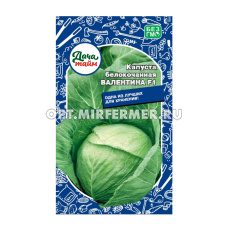 Капуста б/к Валентина F1 0.15г Позд (Дача тайм)