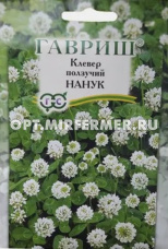 Клевер 0,1кг белый ползучий Нанук  (Гавриш) 1/20