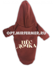 Толстовка р-р M спинка 27см LPK-0438/Lion