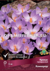 Крокус Прекрасный Конкерор 10шт ( сиреневый, ЦВЕТЕТ ОСЕНЬЮ, 7+/К, h15см)