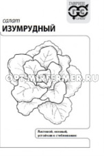 Салат Изумрудный листовой 0,5г Ср (Гавриш) б/п